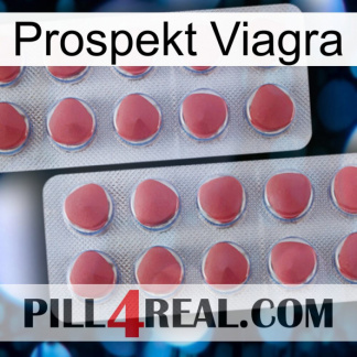Prospecto Viagra 19